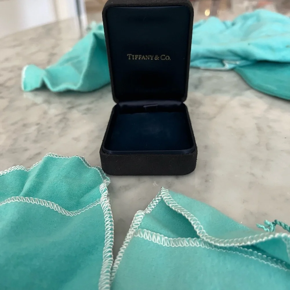 Tiffany & Co. Blue Pouches - Picture 4 of 9